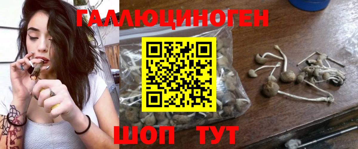 Новочеркасск  Галлюциногенные грибы прущие грибы  Вход с VPN  Псилоцибиновые грибы мицелий 